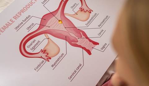 bacterial vaginosis, Violet Glenton