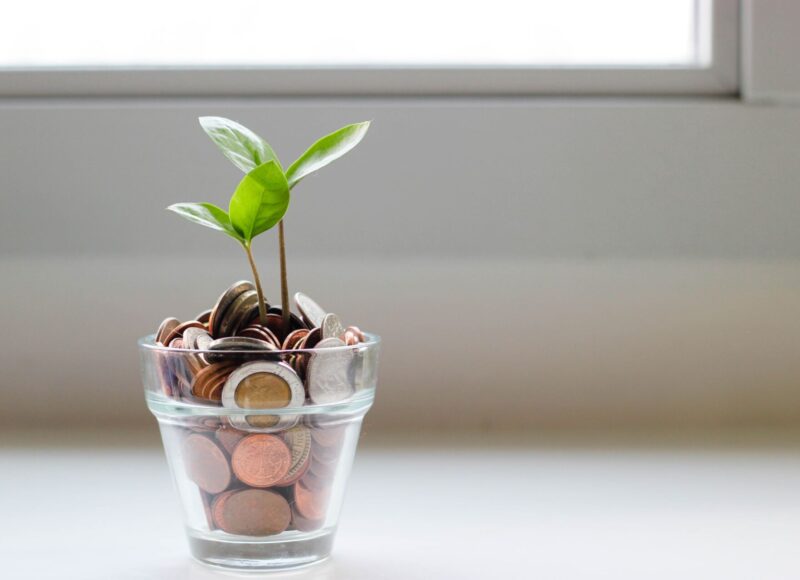 a plant growing in a pot of money