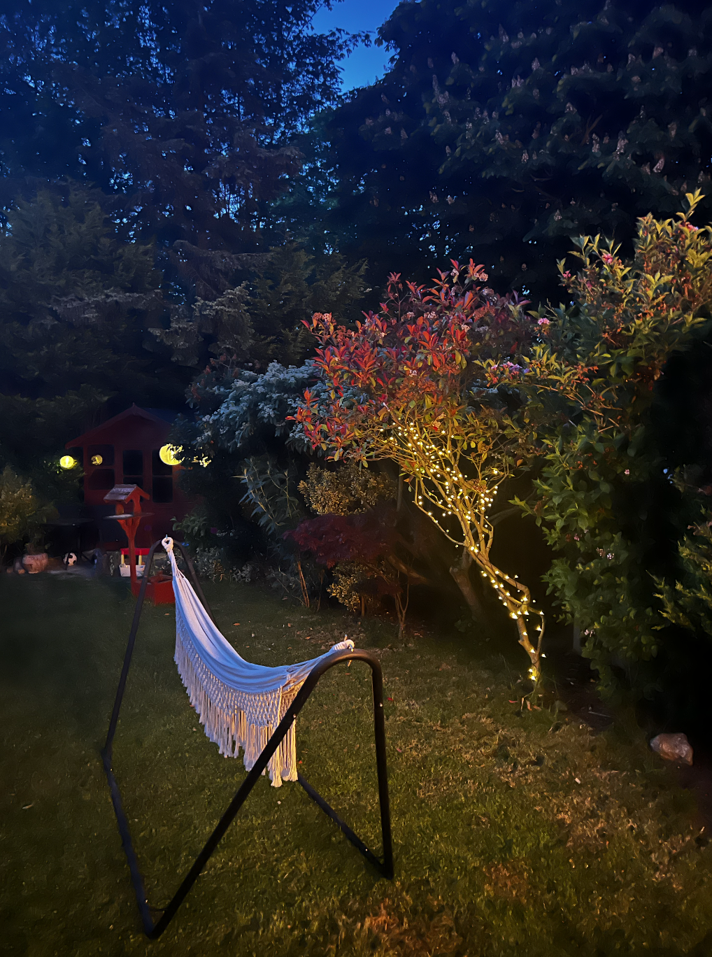 outdoor light, Violet Glenton