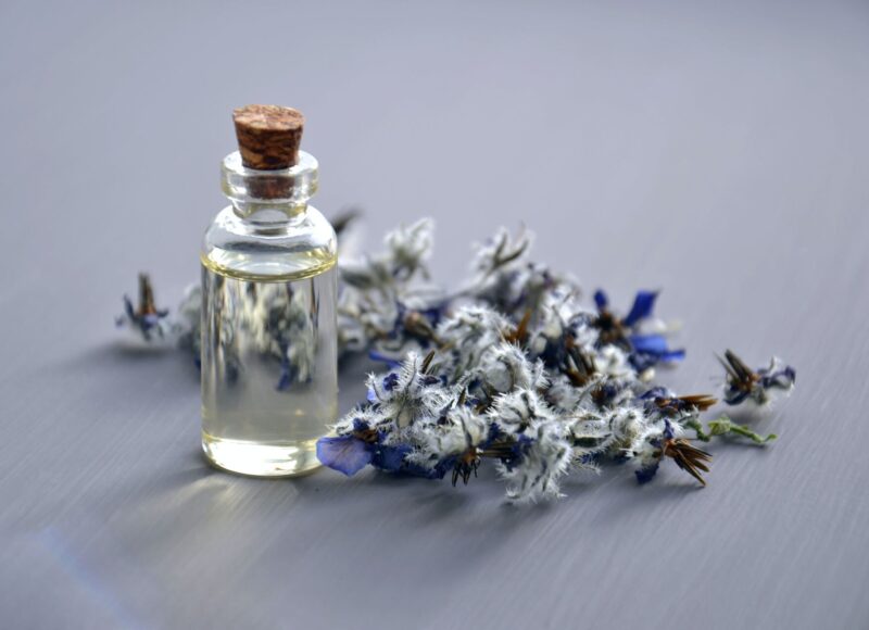 winter fragrance, Violet Glenton